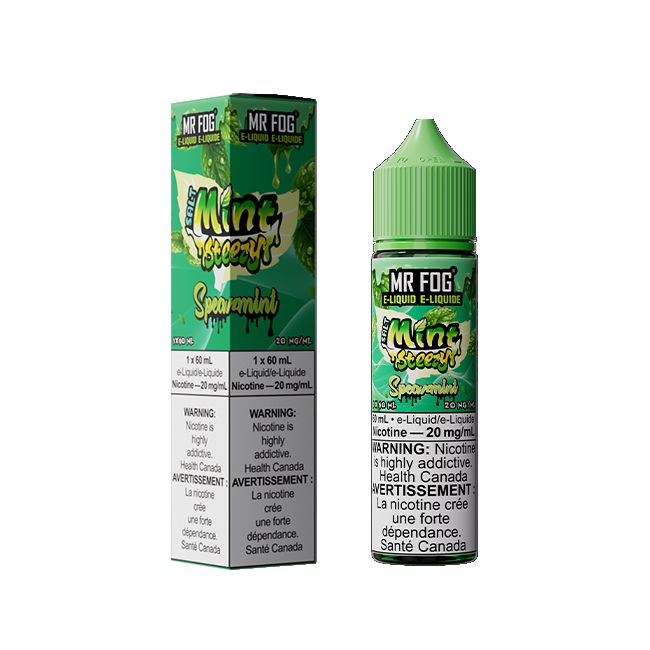 MR FOG E-LIQUID SALT MINT STEEZY (60ML) (ALBERTA)