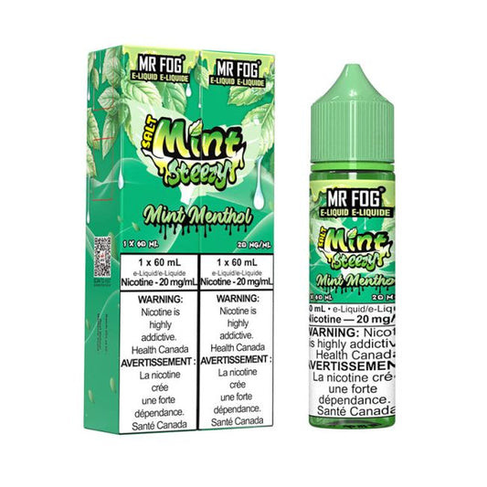 MR FOG E-LIQUID SALT MINT STEEZY (60ML) (ALBERTA)