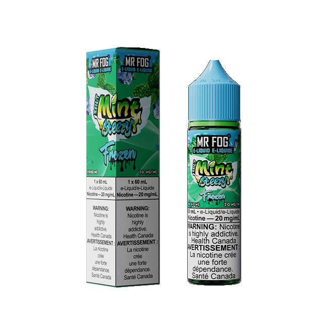 MR FOG E-LIQUID SALT MINT STEEZY (60ML) (ALBERTA)
