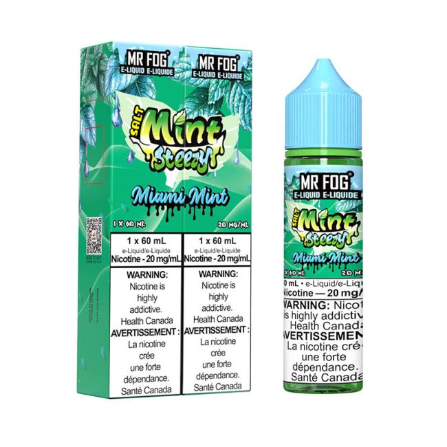 MR FOG E-LIQUID SALT MINT STEEZY (60ML) (ALBERTA)