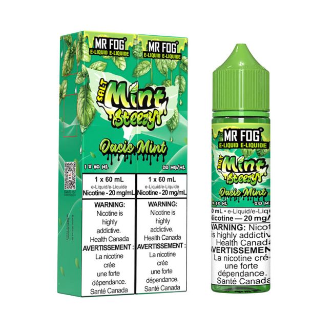 MR FOG E-LIQUID SALT MINT STEEZY (60ML) (ALBERTA)
