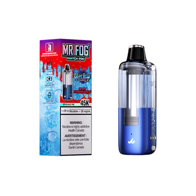 MR FOG SWITCH POD BLUE RAZZ STEEZY (ALBERTA)